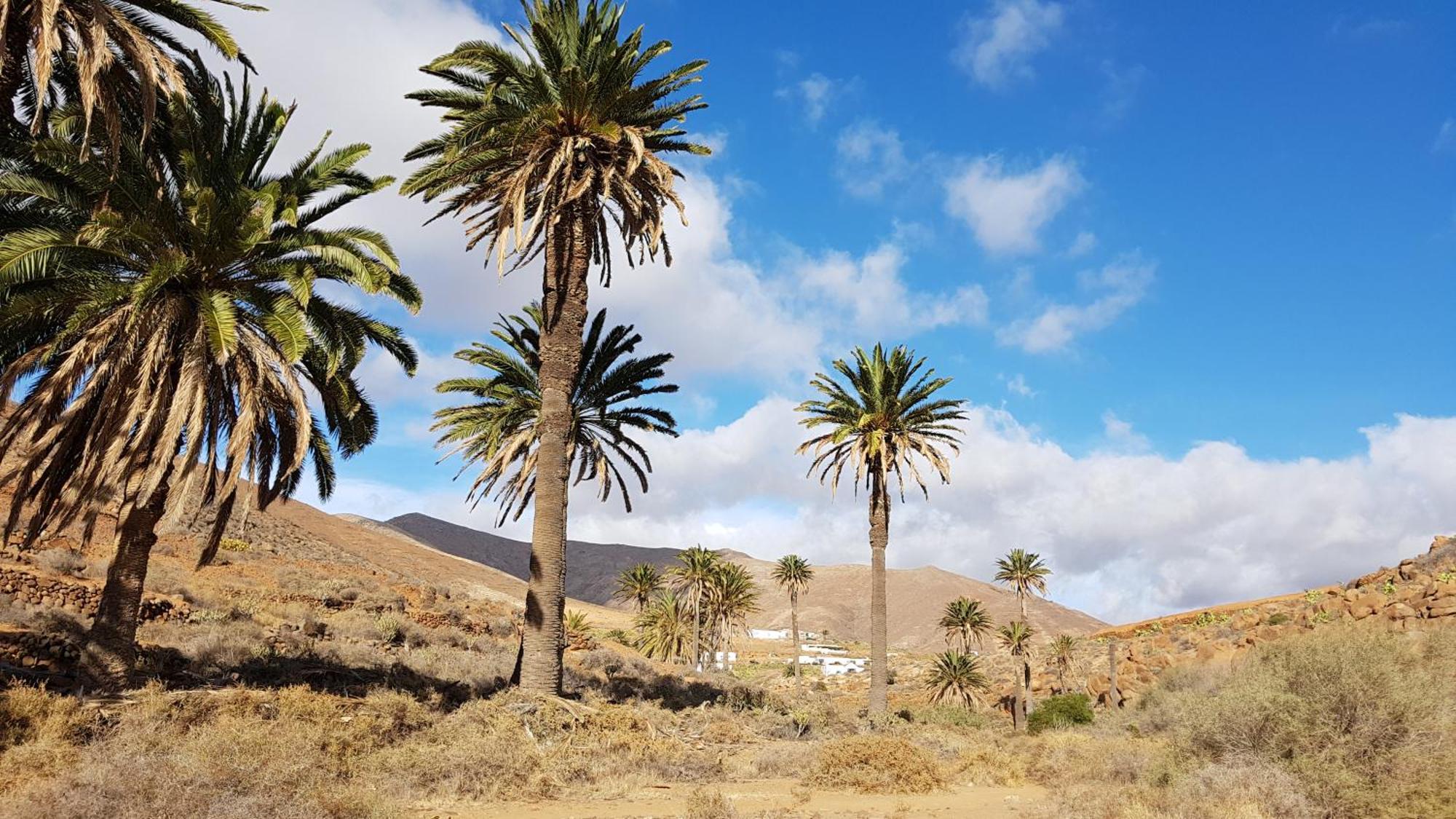 Casa Cocoon, Sun&Freedom, 8 Mn From Beaches, Internet Fiber Lajares Buitenkant foto